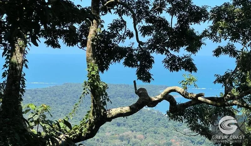 109-Acre Ocean View Development Land with 14 Terraces in Cahuita — view 8, Cahuita, Talamanca, Costa Rica