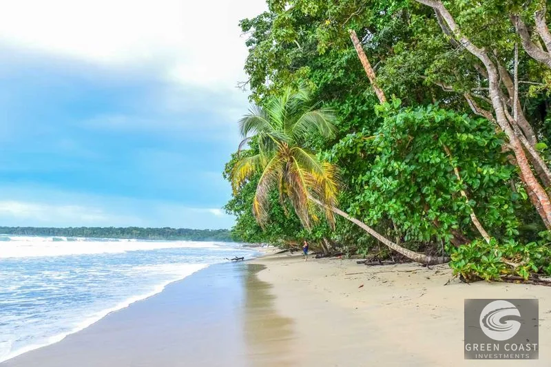 109-Acre Ocean View Development Land with 14 Terraces in Cahuita — view 17, Cahuita, Talamanca, Costa Rica