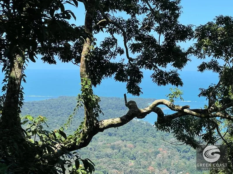 109-Acre Ocean View Development Land with 14 Terraces in Cahuita — view 22, Cahuita, Talamanca, Costa Rica