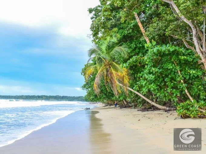 Caribbean Boutique Hostel with Pool & Commercial Potential near Puerto Viejo Beach — view 5, Puerto Viejo, Cantón Talamanca, Costa Rica