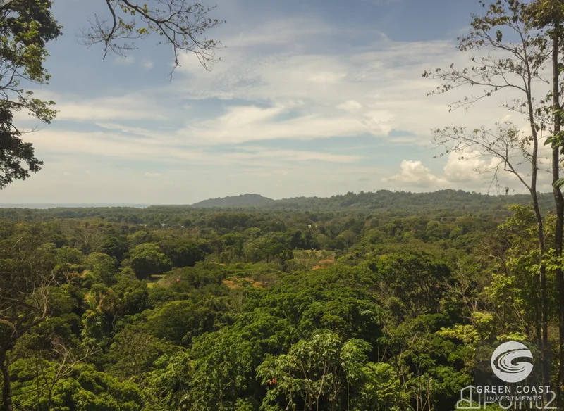 5-Acre Ocean View Development Lot Near Caribbean Beaches — view 1, Cahuita, Talamanca, Costa Rica