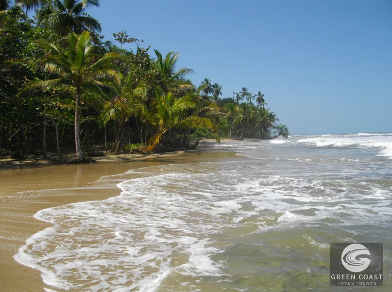 Cocles Jungle Lodge: 3 Turnkey Rental Cabins Just Steps from the Beach — view 11, Cocles, Cocles, Costa Rica
