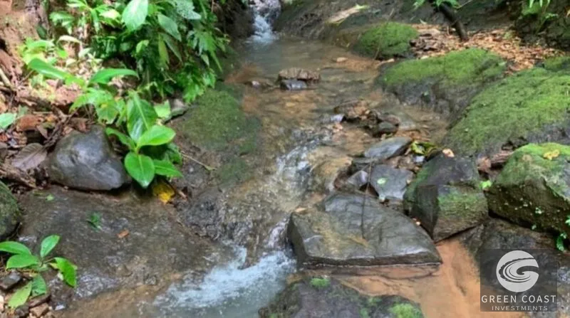21-Hectare Eco-Farm with Ocean Views in Bijagual – Perfect for Sustainable Development — view 1, Bijagual, Bijagual, Costa Rica