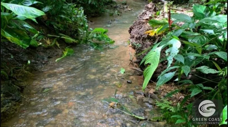21-Hectare Eco-Farm with Ocean Views in Bijagual – Perfect for Sustainable Development — view 2, Bijagual, Bijagual, Costa Rica