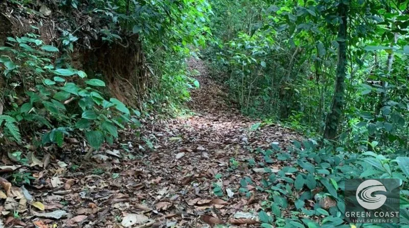 21-Hectare Eco-Farm with Ocean Views in Bijagual – Perfect for Sustainable Development — view 3, Bijagual, Bijagual, Costa Rica