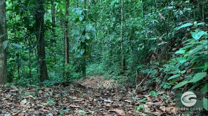 21-Hectare Eco-Farm with Ocean Views in Bijagual – Perfect for Sustainable Development — view 4, Bijagual, Bijagual, Costa Rica