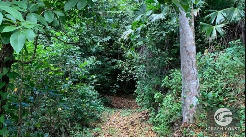 21-Hectare Eco-Farm with Ocean Views in Bijagual – Perfect for Sustainable Development — view 5, Bijagual, Bijagual, Costa Rica