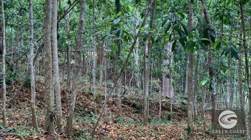 21-Hectare Eco-Farm with Ocean Views in Bijagual – Perfect for Sustainable Development — view 7, Bijagual, Bijagual, Costa Rica
