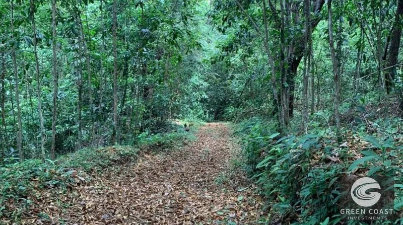 21-Hectare Eco-Farm with Ocean Views in Bijagual – Perfect for Sustainable Development — view 8, Bijagual, Bijagual, Costa Rica
