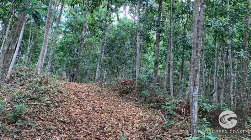 21-Hectare Eco-Farm with Ocean Views in Bijagual – Perfect for Sustainable Development — view 9, Bijagual, Bijagual, Costa Rica