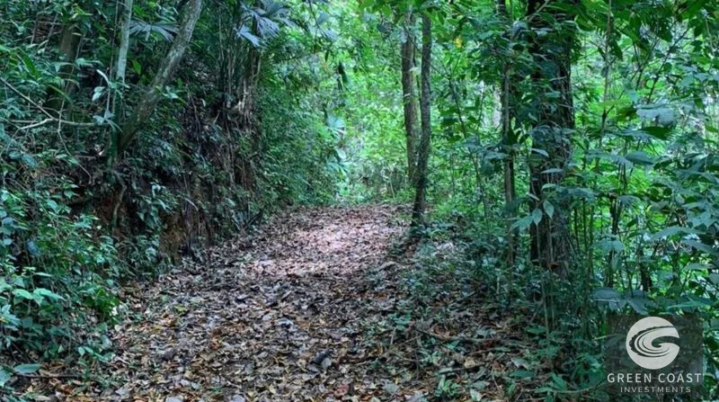 21-Hectare Eco-Farm with Ocean Views in Bijagual – Perfect for Sustainable Development — view 10, Bijagual, Bijagual, Costa Rica