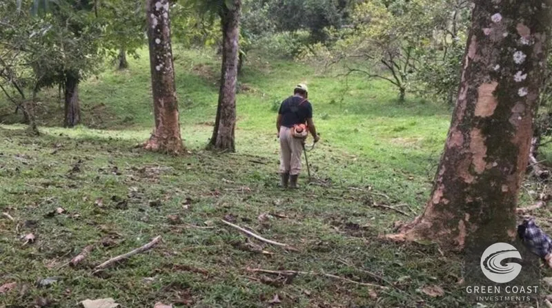 21-Hectare Eco-Farm with Ocean Views in Bijagual – Perfect for Sustainable Development — view 11, Bijagual, Bijagual, Costa Rica
