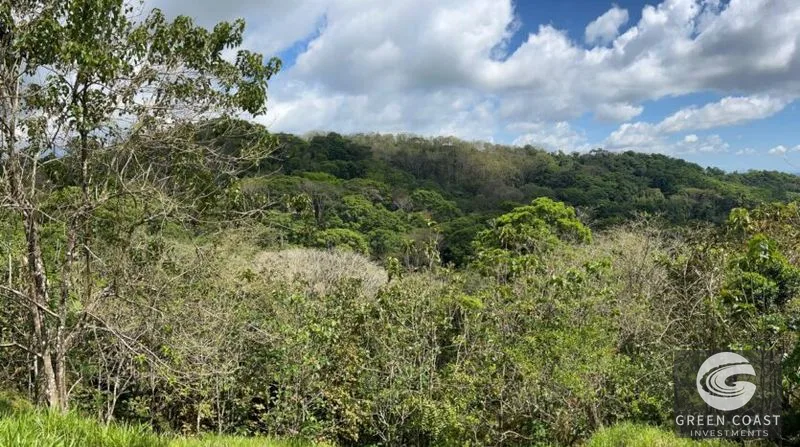 21-Hectare Eco-Farm with Ocean Views in Bijagual – Perfect for Sustainable Development — view 13, Bijagual, Bijagual, Costa Rica