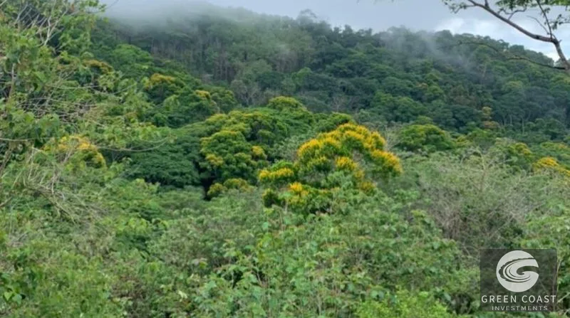 21-Hectare Eco-Farm with Ocean Views in Bijagual – Perfect for Sustainable Development — view 14, Bijagual, Bijagual, Costa Rica