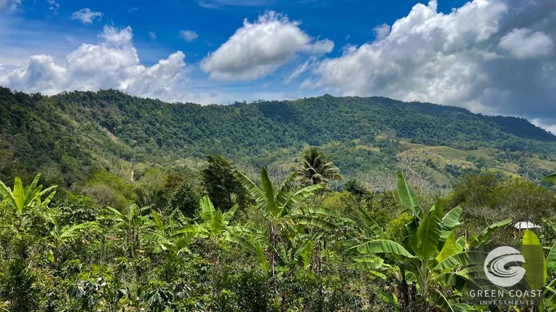 Uvita Mountain View Acreage with Ready Building Sites, Fruit Orchards & Utilities — view 1, Bahía Ballena, Osa, Costa Rica