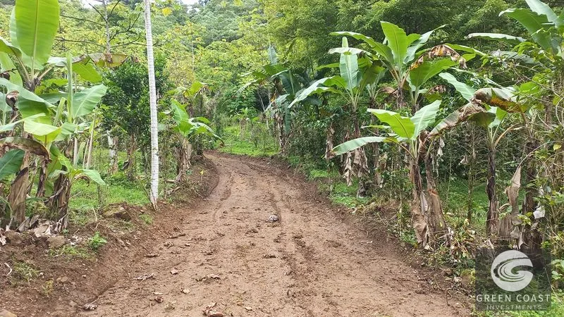 Uvita Mountain View Acreage with Ready Building Sites, Fruit Orchards & Utilities — view 2, Bahía Ballena, Osa, Costa Rica