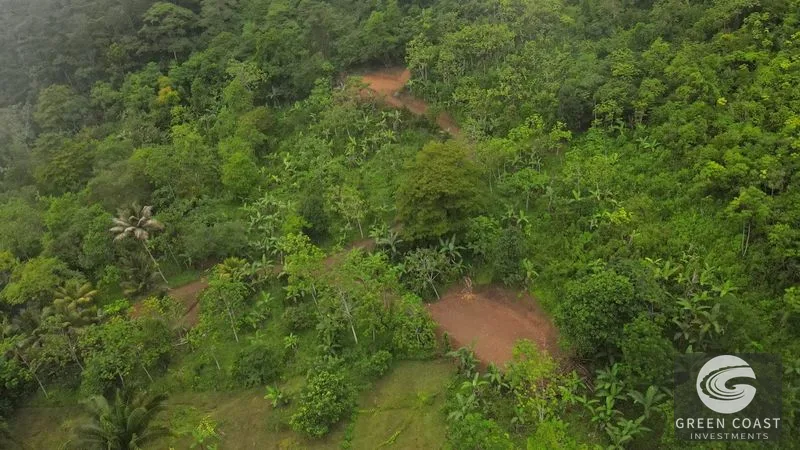 Uvita Mountain View Acreage with Ready Building Sites, Fruit Orchards & Utilities — view 3, Bahía Ballena, Osa, Costa Rica