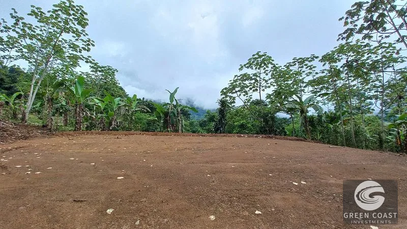 Uvita Mountain View Acreage with Ready Building Sites, Fruit Orchards & Utilities — view 4, Bahía Ballena, Osa, Costa Rica