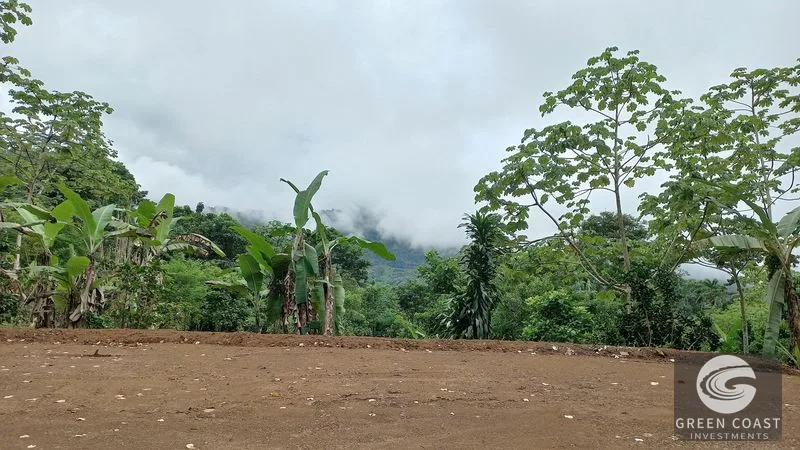 Uvita Mountain View Acreage with Ready Building Sites, Fruit Orchards & Utilities — view 5, Bahía Ballena, Osa, Costa Rica