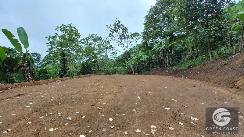 Uvita Mountain View Acreage with Ready Building Sites, Fruit Orchards & Utilities — view 6, Bahía Ballena, Osa, Costa Rica