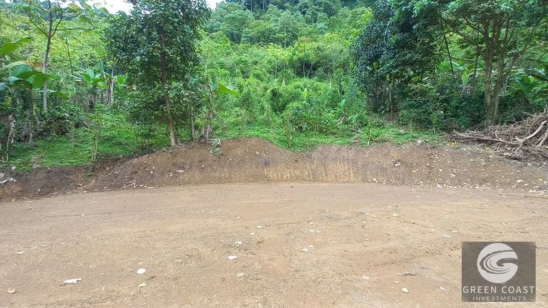 Uvita Mountain View Acreage with Ready Building Sites, Fruit Orchards & Utilities — view 7, Bahía Ballena, Osa, Costa Rica
