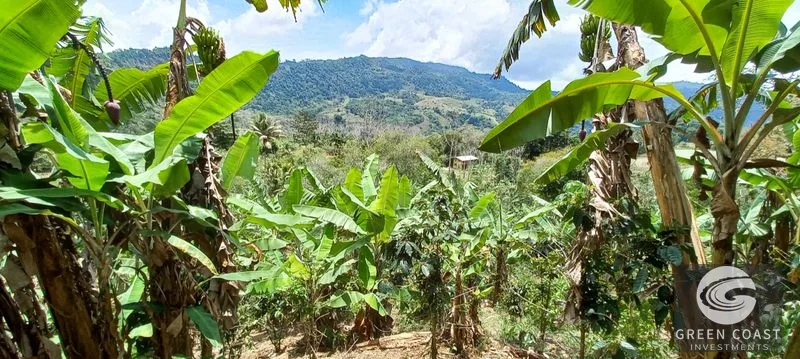 Uvita Mountain View Acreage with Ready Building Sites, Fruit Orchards & Utilities — view 8, Bahía Ballena, Osa, Costa Rica