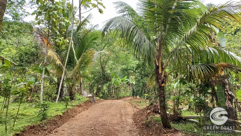 Uvita Mountain View Acreage with Ready Building Sites, Fruit Orchards & Utilities — view 11, Bahía Ballena, Osa, Costa Rica