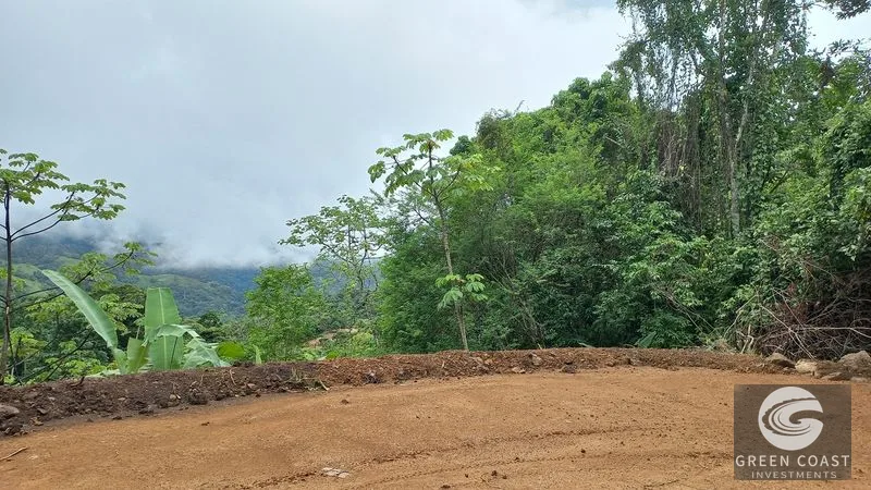 Uvita Mountain View Acreage with Ready Building Sites, Fruit Orchards & Utilities — view 14, Bahía Ballena, Osa, Costa Rica