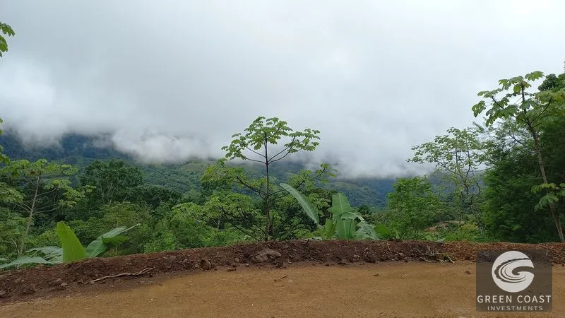 Uvita Mountain View Acreage with Ready Building Sites, Fruit Orchards & Utilities — view 15, Bahía Ballena, Osa, Costa Rica