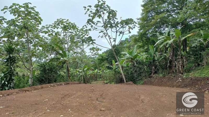 Uvita Mountain View Acreage with Ready Building Sites, Fruit Orchards & Utilities — view 16, Bahía Ballena, Osa, Costa Rica