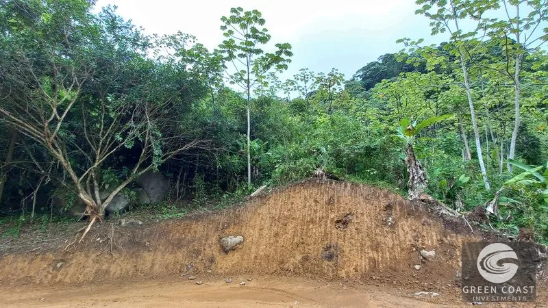 Uvita Mountain View Acreage with Ready Building Sites, Fruit Orchards & Utilities — view 17, Bahía Ballena, Osa, Costa Rica