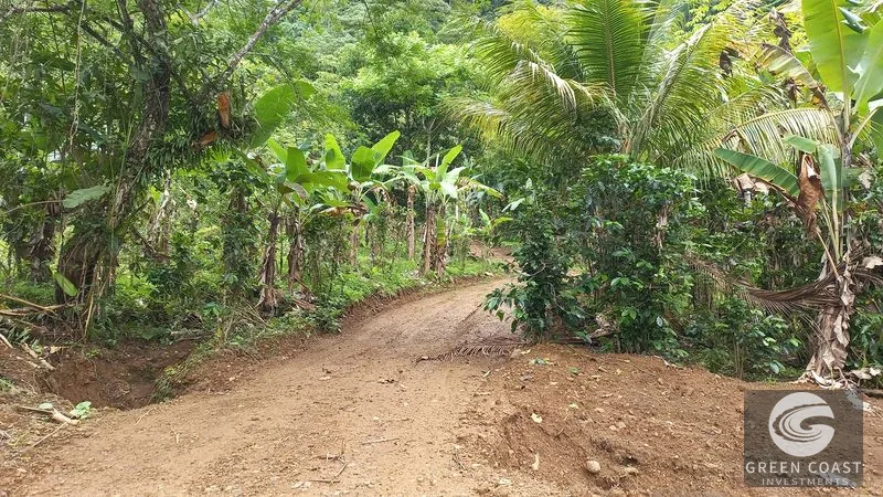 Uvita Mountain View Acreage with Ready Building Sites, Fruit Orchards & Utilities — view 18, Bahía Ballena, Osa, Costa Rica