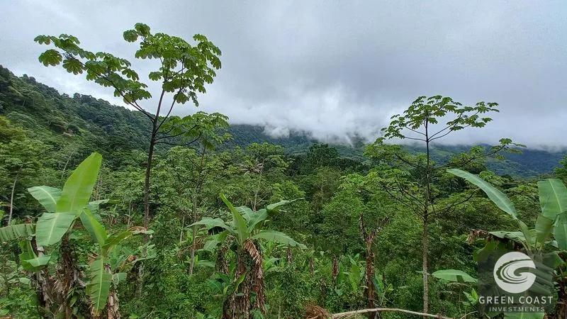 Uvita Mountain View Acreage with Ready Building Sites, Fruit Orchards & Utilities — view 26, Bahía Ballena, Osa, Costa Rica