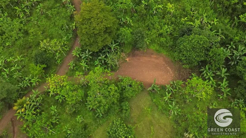 Uvita Mountain View Acreage with Ready Building Sites, Fruit Orchards & Utilities — view 28, Bahía Ballena, Osa, Costa Rica