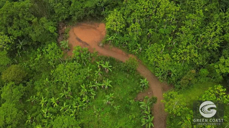 Uvita Mountain View Acreage with Ready Building Sites, Fruit Orchards & Utilities — view 29, Bahía Ballena, Osa, Costa Rica