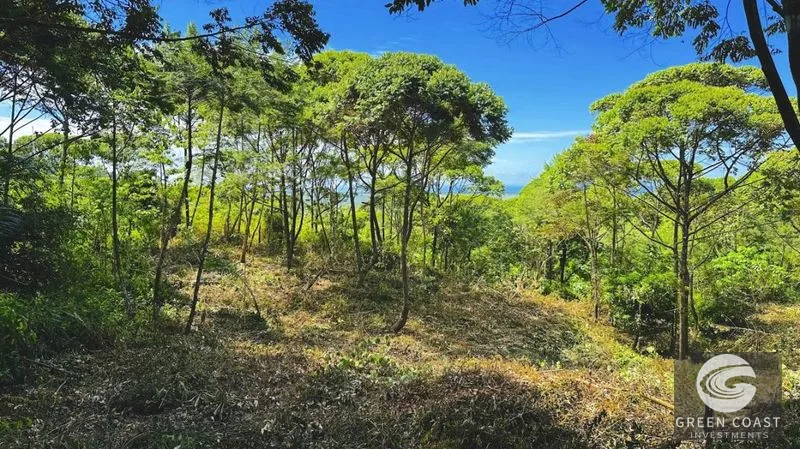 Double Luxury Ocean-View Lots in Exclusive Savegre Eco-Retreat — view 5, Savegre, Quepos, Costa Rica