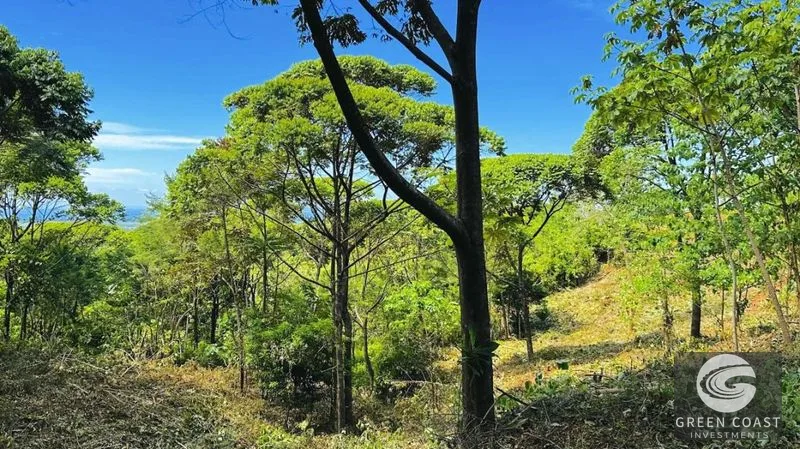 Double Luxury Ocean-View Lots in Exclusive Savegre Eco-Retreat — view 6, Savegre, Quepos, Costa Rica