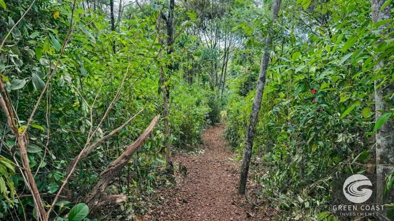 Double Luxury Ocean-View Lots in Exclusive Savegre Eco-Retreat — view 8, Savegre, Quepos, Costa Rica