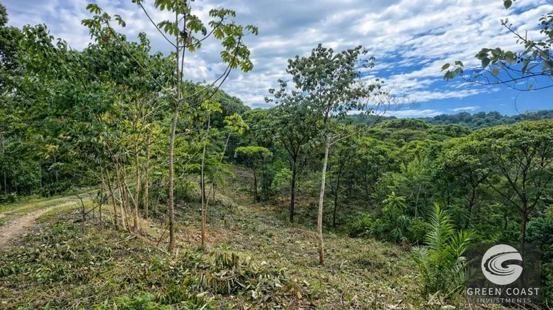 Double Luxury Ocean-View Lots in Exclusive Savegre Eco-Retreat — view 10, Savegre, Quepos, Costa Rica