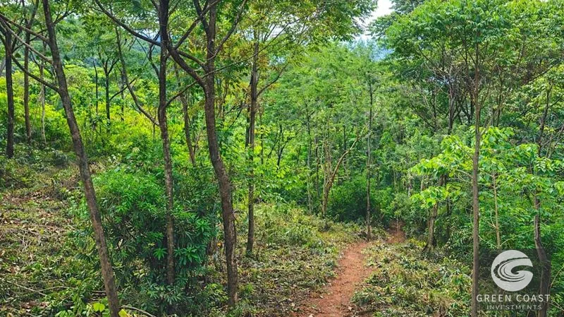 Double Luxury Ocean-View Lots in Exclusive Savegre Eco-Retreat — view 11, Savegre, Quepos, Costa Rica