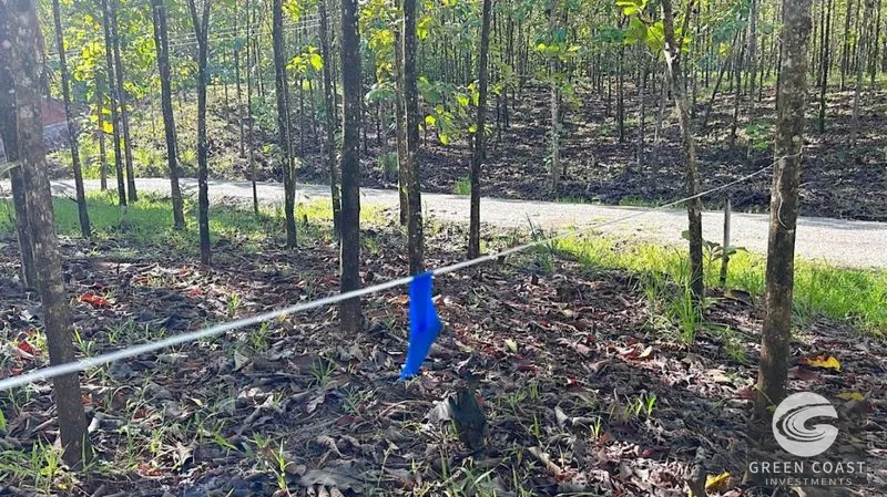 Build-Ready 1.2-Acre Mountain Stream Lot Near Matapalo Beach — view 2, Savegre, Quepos, Costa Rica