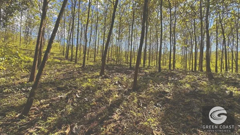 Build-Ready 1.2-Acre Mountain Stream Lot Near Matapalo Beach — view 4, Savegre, Quepos, Costa Rica