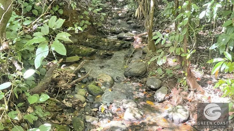 Build-Ready 1.2-Acre Mountain Stream Lot Near Matapalo Beach — view 5, Savegre, Quepos, Costa Rica