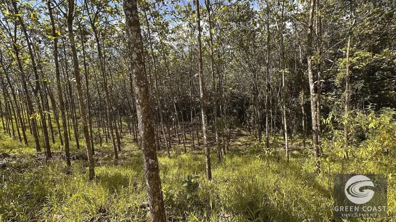 Build-Ready 1.2-Acre Mountain Stream Lot Near Matapalo Beach — view 6, Savegre, Quepos, Costa Rica