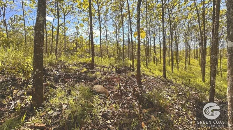 Build-Ready 1.2-Acre Mountain Stream Lot Near Matapalo Beach — view 7, Savegre, Quepos, Costa Rica