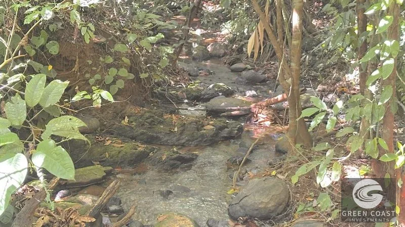 Build-Ready 1.2-Acre Mountain Stream Lot Near Matapalo Beach — view 8, Savegre, Quepos, Costa Rica