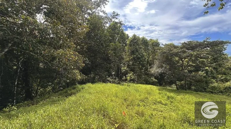 4.8-Acre Ocean View Luxury Lot in Gated Portalón Community — view 4, Portalon de Quepos, Quepos, Costa Rica