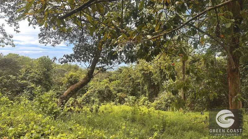 4.8-Acre Ocean View Luxury Lot in Gated Portalón Community — view 6, Portalon de Quepos, Quepos, Costa Rica