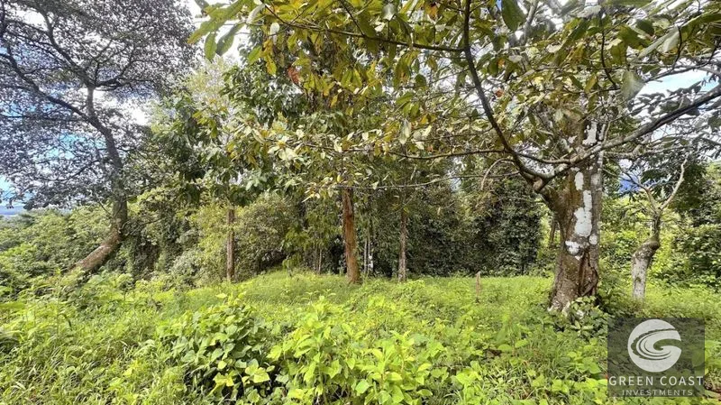 4.8-Acre Ocean View Luxury Lot in Gated Portalón Community — view 8, Portalon de Quepos, Quepos, Costa Rica