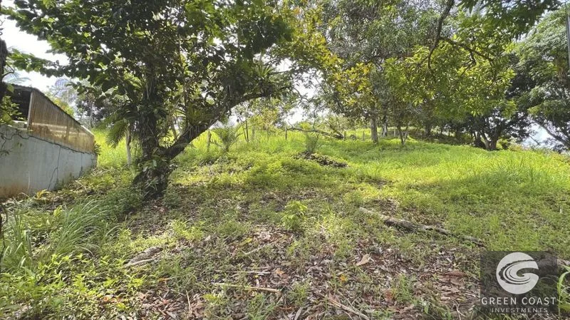 Affordable Eco-Friendly Lots Near Marina Pez Vela & Manuel Antonio — view 1, Quepos, Costa Rica